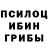 Псилоцибиновые грибы прущие грибы Jonas Hain