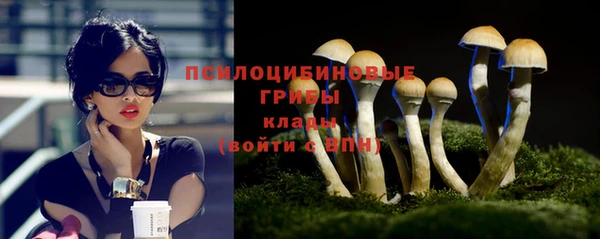 прущий лед Козельск