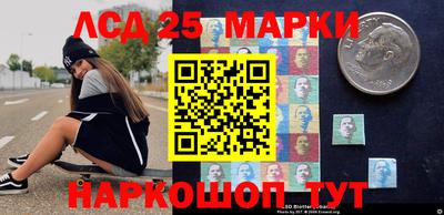 spice Кингисепп