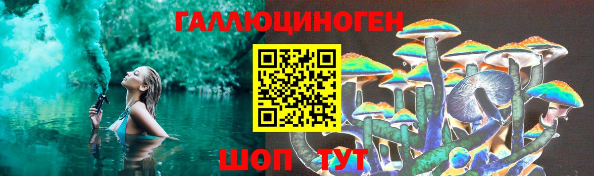 Псилоцибиновые грибы Cubensis Усинск