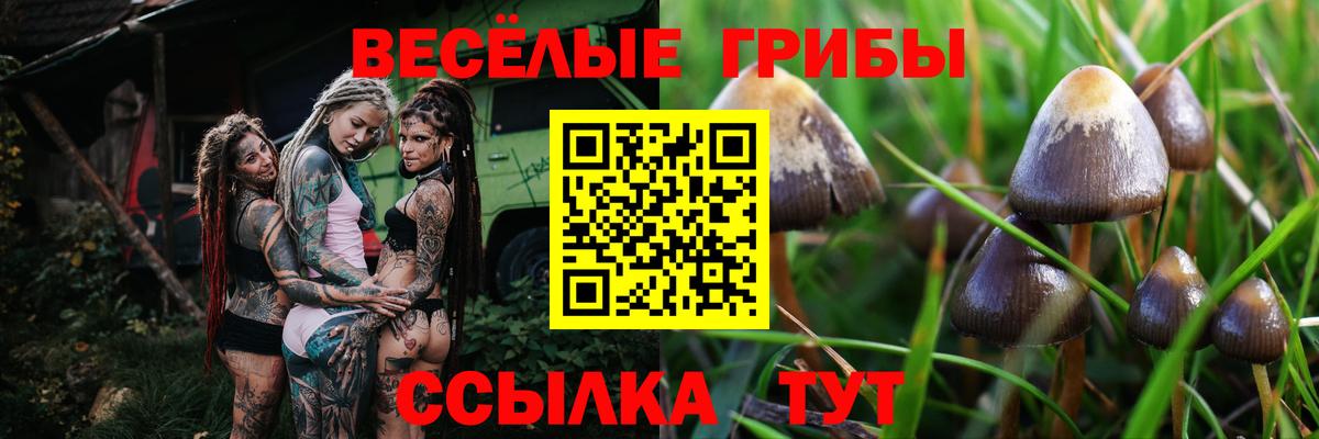 Псилоцибиновые грибы MAGIC MUSHROOMS Усинск